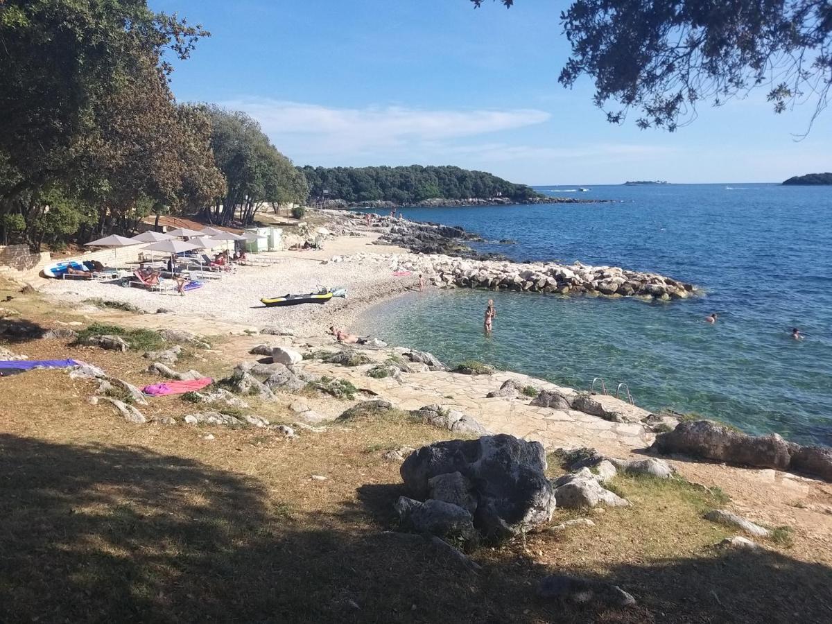 Alba Sanja I Teran Lägenhet Funtana Exteriör bild
